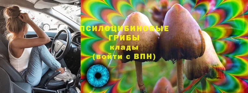 Галлюциногенные грибы GOLDEN TEACHER  хочу   Электроугли 